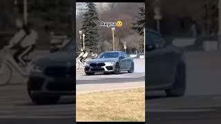 Акула️