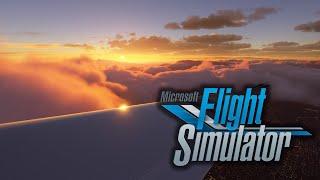 FLIGHT SIMULATOR 2020 NEW TRAILER