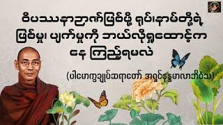 ဝိပဿနာဉာဏ်ဖြစ်ဖို့ ရုပ်၊နာမ်တို့၏ ဖြစ်မှု၊ပျက်မှုကို ဘယ်လိုရှုထောင့်ကနေ ကြည့်ရမလဲ