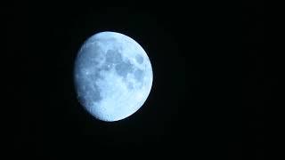 MOON. Something is Wrong
