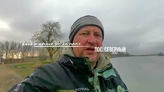 Зарыбление городского водоема