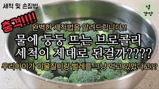 [꿀팁]수퍼푸드 브로콜리!! | 완벽하게 씻는 방법 | 아이에게 벌레를 먹이지마세요. | how to wash broccoli