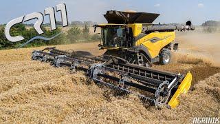 NEW HOLLAND CR11 | The 1st in Italy | Wheat Harvesting 2024 | Team Rosina