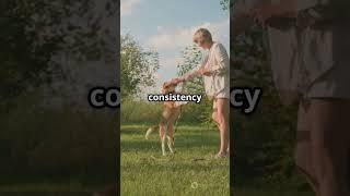 Train Your Dog with Love: Positive Reinforcement Tips! #subscribe #youtubeshorts#dog  #petwellness
