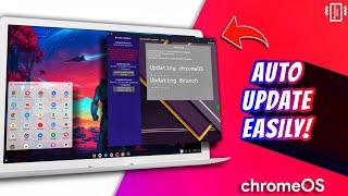 How To Update Chrome OS with Brunch and Install Latest Version for Single and Dual Boot !