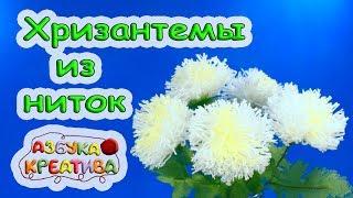 Цветы из ниток своими руками Хризантемы для любимой мамы Wool flowers DIY Azbuka Creativa