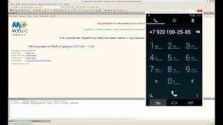 Информация о клиенте : Мобильная торговля Моби-С