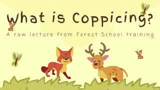 What is Coppicing? - a raw lecture from Forest School Training