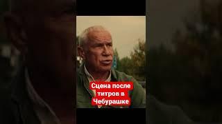 сруля #чебурашка #2023