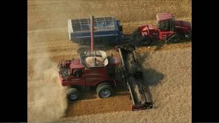 Maximum Wheat Yields - Farming Smarter