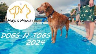 Wags and Whiskers: Dogs n Togs 2024