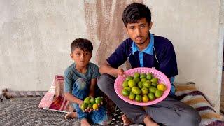 Free Ke Aam / Suhaib Sabir Vlogs