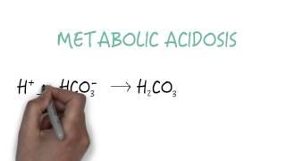 Bicarbonate - The Primary Buffer