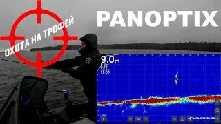 PANOPTIX. Охота на трофей. Визуальное наслаждение.