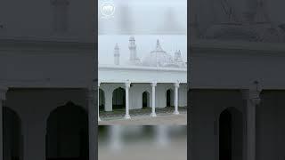 Do you know when the 15th Jalsa Salana occurred? #shorts