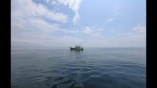 UNE Shark Research with James Sulikowski, Ph.D.