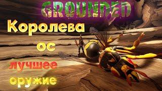 Grounded - Битва с королевой ОС! Обзор моего нового дома)