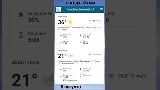 Ob havo Buxoro | об хаво Бухоро | прогноз погоды Бухары