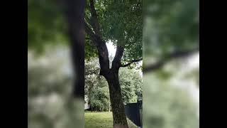 Сборник фотографий района Головинский. Конец лета 2023