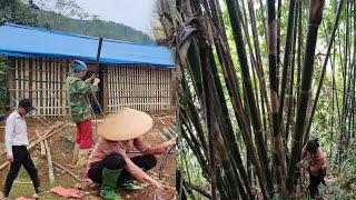 Tu Tien: went to pull water pipes to the new house - met the landlady cleaning the yard.