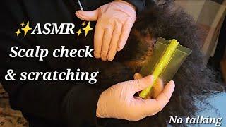 ASMR ️ SCALP CHECK AND SCRATCHING w/ fine tooth comb & gloves (no talking)