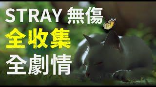 【喵星人】Stray  流浪貓 無傷中文攻略解說 |  完整劇情 | 無傷 | 全收集 | 白貓 | 中文字幕 | 2K60FPS