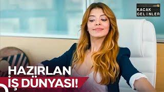 Şebnem Gürsoy'un İlk İş Günü | Günlük Şebnem Dozu #24