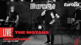 The Motans - 1000 RPM (LIVE)