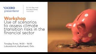 1400_Boksen_Workshop-Use of scenarios to assess climate transition risks in the financial sector