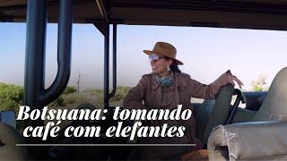 Experiência em Botsuana: tomando café com elefantes