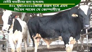 ৪০+ লি. দুধ দিবে প্রমানীত | এমন মেরিটের ১০০% ফ্রিজিয়ান ষাড় থেকে সিমেন সংগ্রহ করবে Eon Hi Tech Dairy