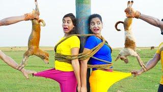 New Entertainment Top Funny Video Best Comedy in 2024 Episode 271 By Busy Fun Ltd