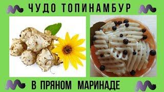 МАРИНОВАННЫЙ ТОПИНАМБУР