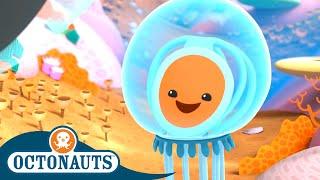 Octonauts - The Immortal Jellyfish | Cartoons for Kids | Underwater Sea Education