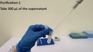 Phansco- Raman Apparatus Pesticide Detection: English edition, Part 2: extraction and purification.