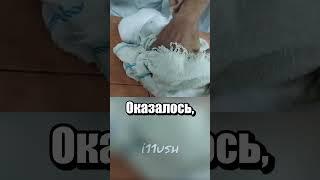 Взрывные котята