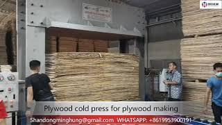 Plywood cold press machine supplier