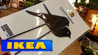 Икеа  ШЕДЕВРАЛЬНЫЕ НОВИНКИ ЛЕТА!  САДОВЫЕ ИНСТРУМЕНТЫ, КАШПО, РАСТЕНИЯ🪴 IKEA