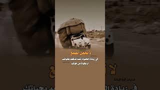 لا تجعل الطمع في زيادة الحمولة ثمناً تدفعه بحياتك أو بحياة من حولك 