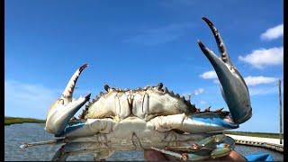 Crabbing - Little Egg Harbor, NJ