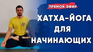 Хатха-Йога для начинающих в домашних условиях | Йога Чести | Владимир Присяжнюк