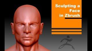 Face Sculpting in Zbrush