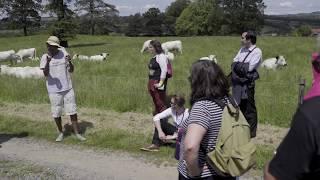 Beyond the Border - Wales' International Storytelling Festival 2021