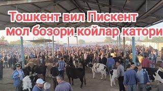 тошкент вил Пискент мол бозори койлар катори 18.09.2024 тел админ +998990858363