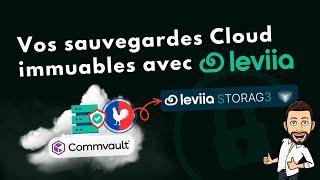 Pourquoi la sauvegarde Cloud est essentielle en 2024 ? Démo avec Leviia !