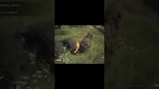 YouTube Guts saves us #dragonsdogma2 #Guts #gameplay #walkthrough #PS5