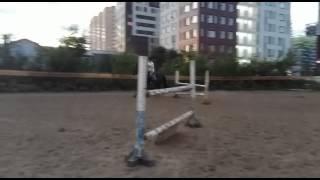 Конхарт 05.08.2015 2