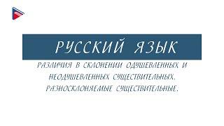 6 класс - Русский язык - Различия в склонении одушевлённых и неодушевлённых. Разносклоняемые