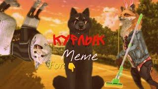 Meme Курлык WildCraft For Molniya, Aki, Craizy Raicel, Charli, DARKA, Zvezdocka.