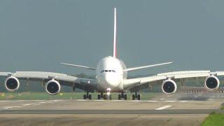 95 LANDINGS & TAKEOFF`s in 60 MINUTES - AIRBUS A380, Boeing 747, AN12 ... (4K)